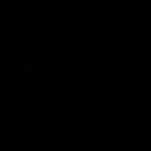 Meet your Posher, Janeel